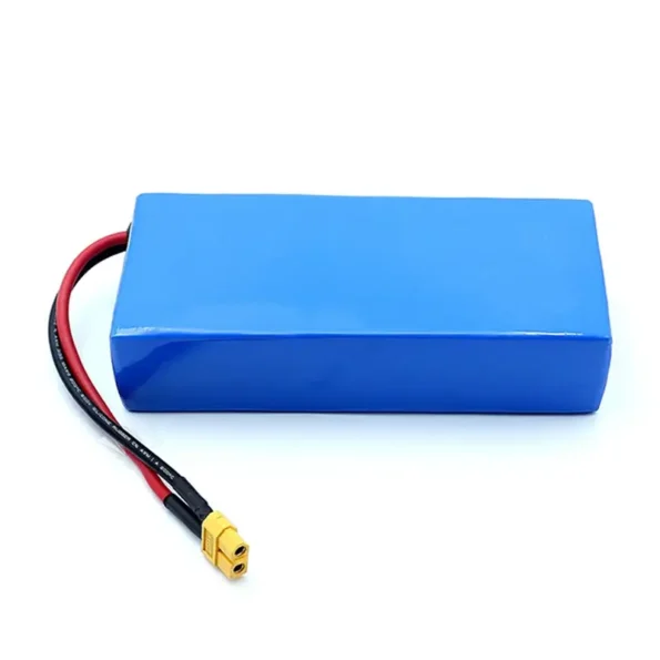 12- Volt Rechargeable Li-ion Battery Pack